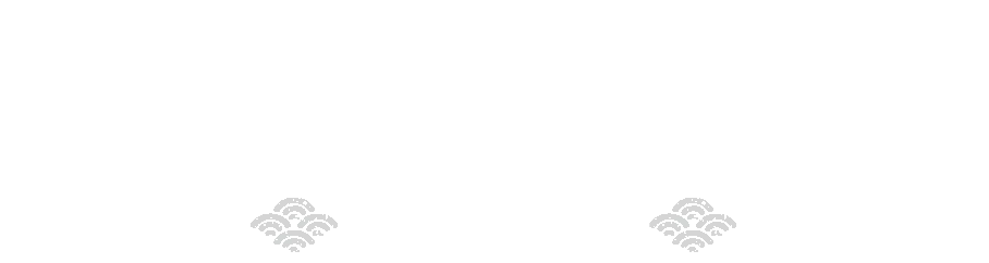 개최 일정